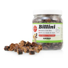 Anibio - Billini