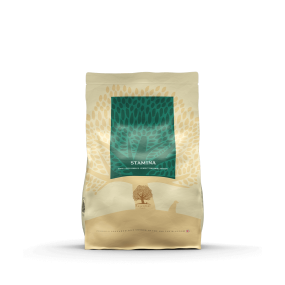 Essential Foods - Stamina