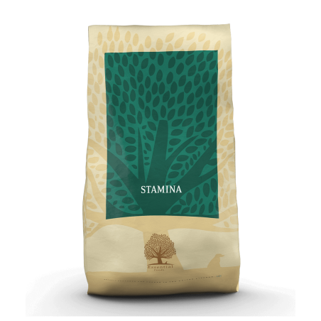 Essential Foods - Stamina