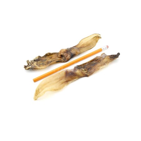 Lunderland - Oreja de Conejo Sin Pelo