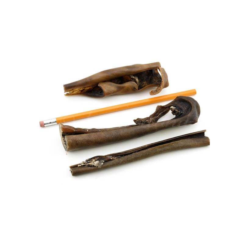 Lunderland - Caravaca camello