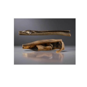 Lunderland - Caravaca camello