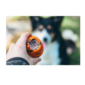 Non-stop Dogwear - Dog throw toy - Naranja/Negro